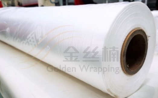 77体育 – 全网最全最有态度的体育赛事直播平台