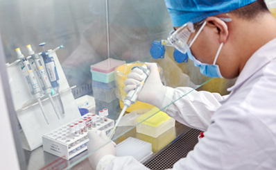 333���� - ��̬�ȵ������Ż�