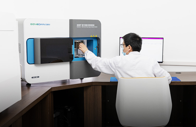 333���� - ��̬�ȵ������Ż�