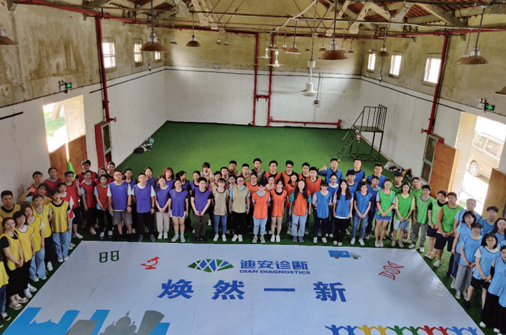 333���� - ��̬�ȵ������Ż�