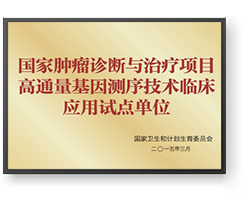 333���� - ��̬�ȵ������Ż�