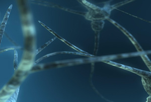 333���� - ��̬�ȵ������Ż�