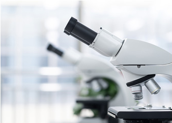 333���� - ��̬�ȵ������Ż�