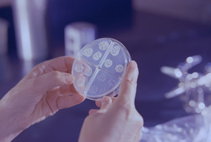 333���� - ��̬�ȵ������Ż�