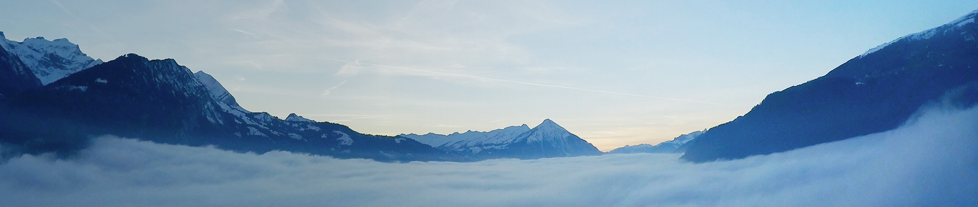 333���� - ��̬�ȵ������Ż�