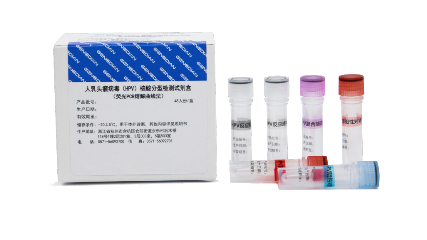 333���� - ��̬�ȵ������Ż�