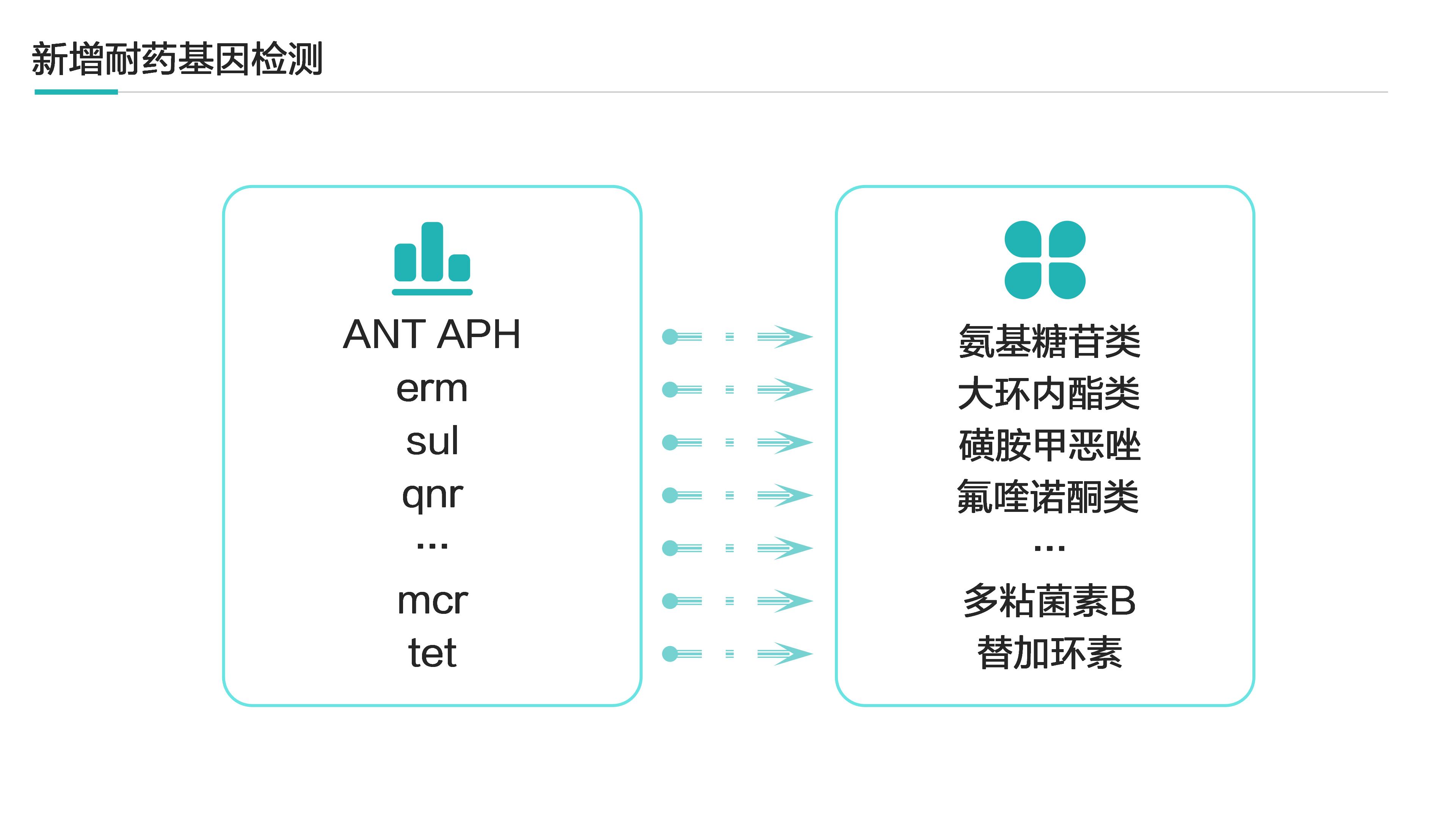 1740993564278433.jpg ·ºÑ¬È¾ÍÆÎÄÅäͼ(1)_03.jpg