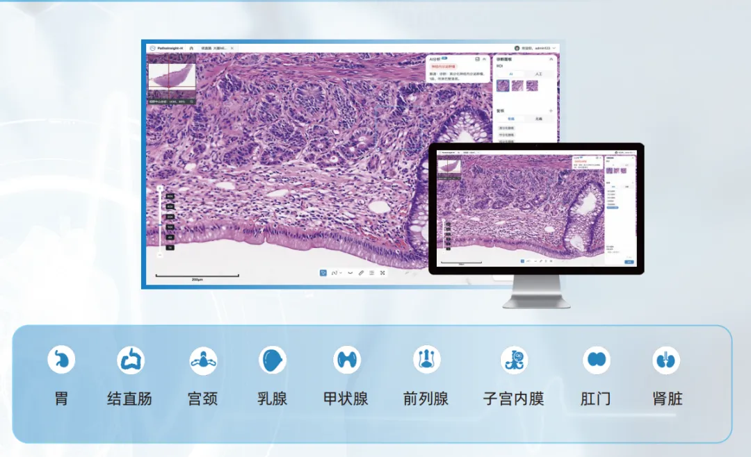 1749867126411383.png 2.png