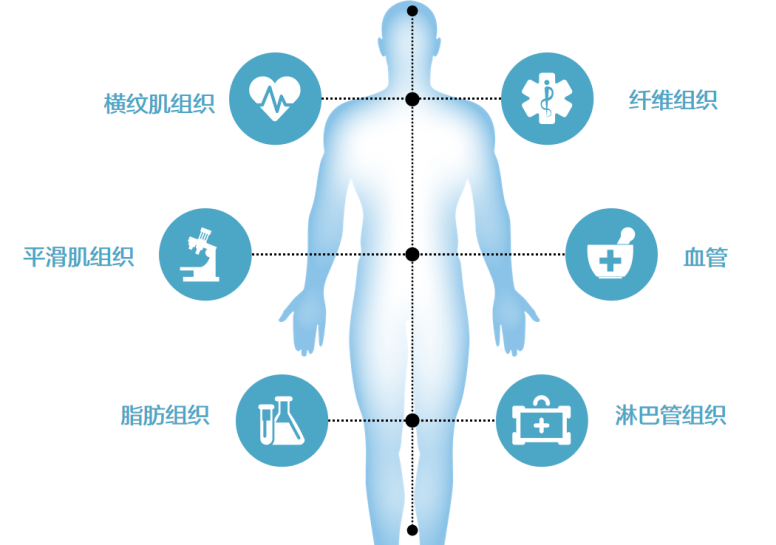 1752546230113847.png 1.png