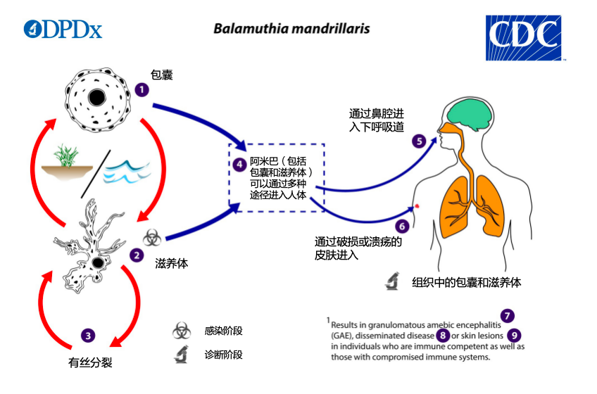 1752546626748383.png 2.png